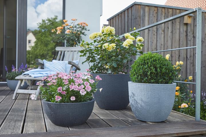 Immagine prodotto Scheurich Barceo (47 x 36.09 cm)