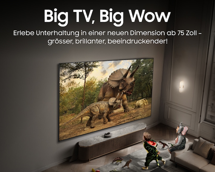 Immagine prodotto Samsung QE100QN80F (100", QN80F, NeoQLED, Mini-LED, 4K, 2025)