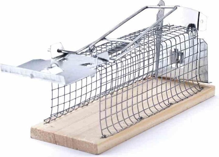 Actual product image Swissinno Living Trap Mouse Classic 1 pc