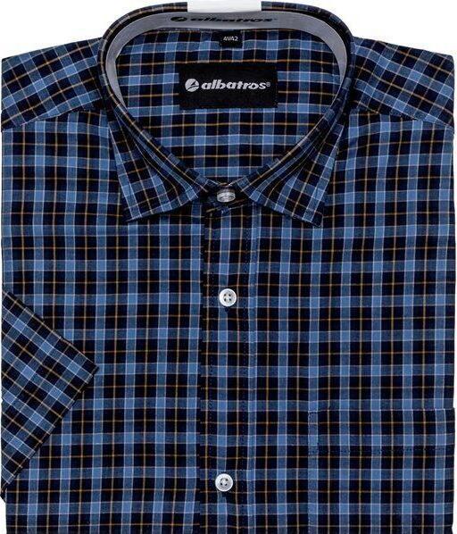 Immagine prodotto Albatros Bronze 1/2 (44)