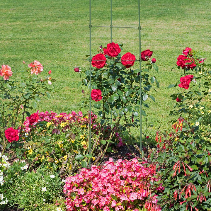 Immagine prodotto Relaxdays 4x Rankhilfe (28 cm, 28 cm)