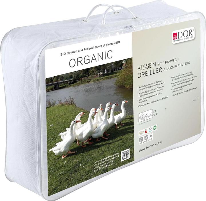 Actual product image DOR Classic pillow with 3 chambers Organic 50 x 70 cm (50 x 70 cm)