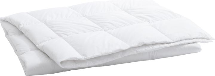 Produktbild Billerbeck Climacontrol (300 g, 200 x 210 cm)