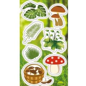Ranok , Sticker, Aufkleber Mit Pflanzen Und Pilzen