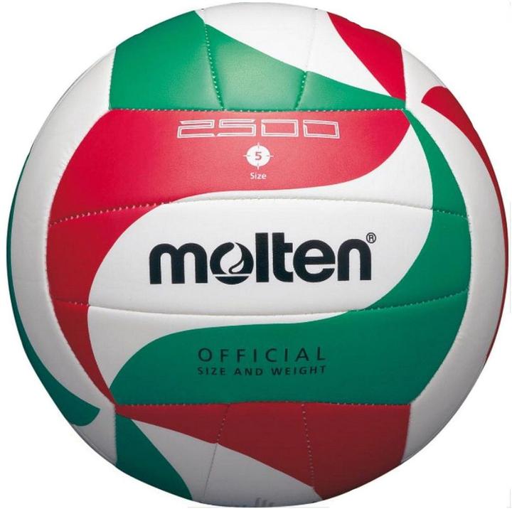 Molten Volleyball training V5M2500 synth. Skin (5)