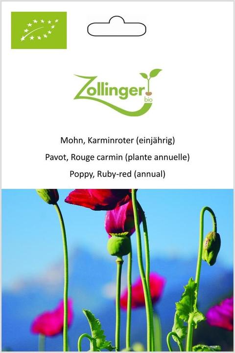 Produktbild Zollinger Bio Mohn, Karminroter (einjährig) (Keimlinge)