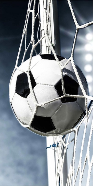 Produktbild Jerry Fussball (70 x 140 cm)