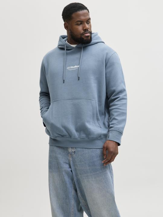 Produktbild Jack & Jones Jjesoho Sweat Hood Noos Pls (4XL)