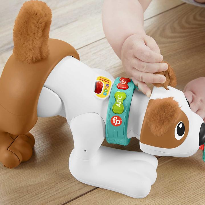 Image du produit Fisher-Price 123 Crawl With Me Puppy-DU