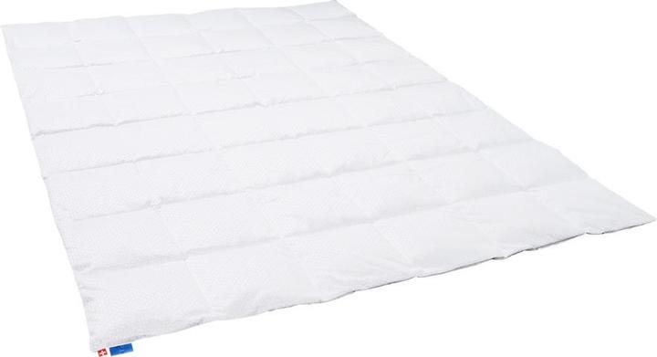 Produktbild Dauny Climaactive Evolution (630 g, 240 x 240 cm)