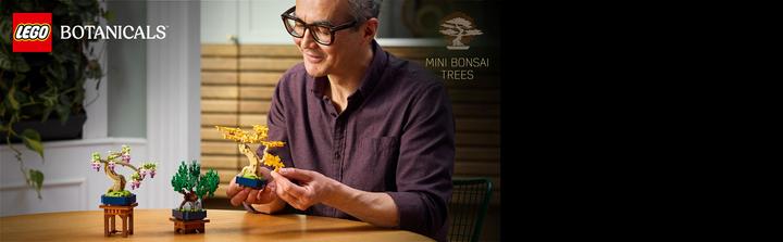 Produktbild LEGO Mini-Bonsais Set (10373, LEGO Botanicals)