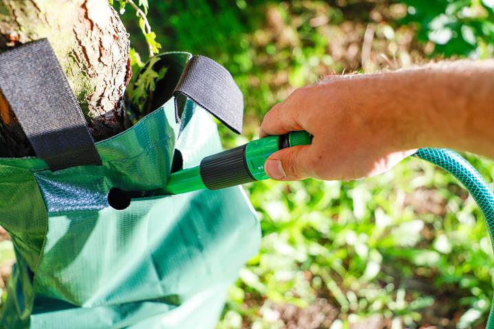 Image du produit BGS Sac d'irrigation (Sac d'irrigation pour arbres)