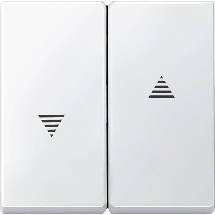 Actual product image Merten Rocker