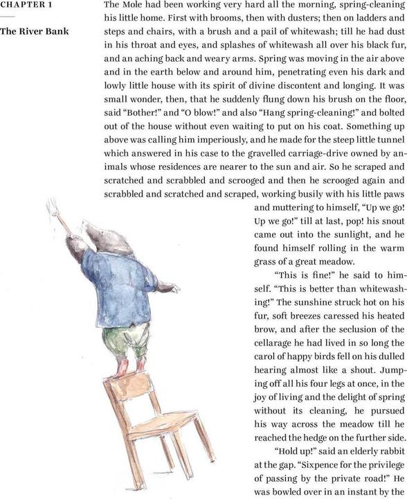 Actual product image The Wind in the Willows (English, Kenneth Grahame, Sebastian Meschenmoser, 2017)