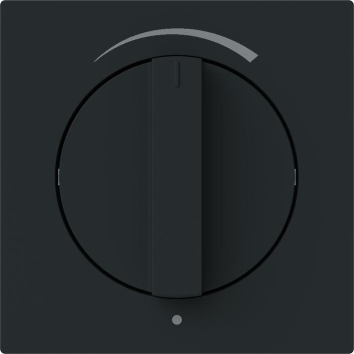 Produktbild Busch-Jaeger Zentralscheibe