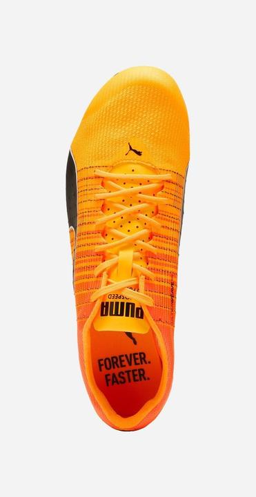 Produktbild Puma evoSPEED Future Faster+ 4 (44)