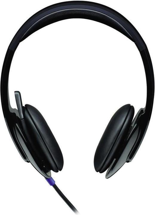 Immagine prodotto Logitech DUPLICATO H540 (Cablato, USB-A)