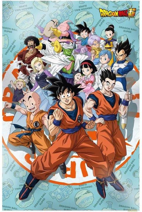 SD Toys Dragon Ball Super Universe Survival 3D poster (38 x 58 cm)