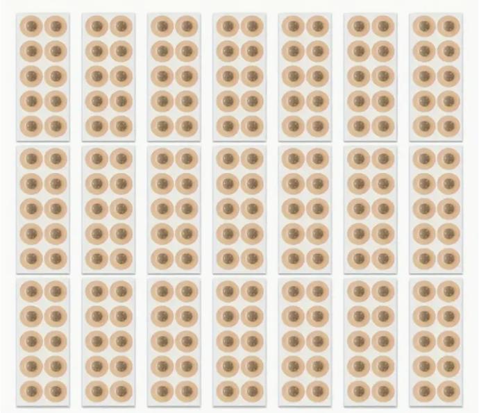 Breathwell Magnetische Nasenpflaster 100 Stück (nur Aufkleber)