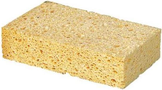 Image du produit Kerbl Éponge