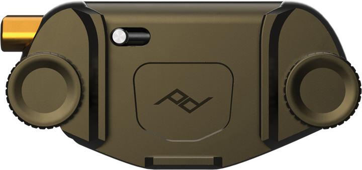 Black, Seaweed, Kelp