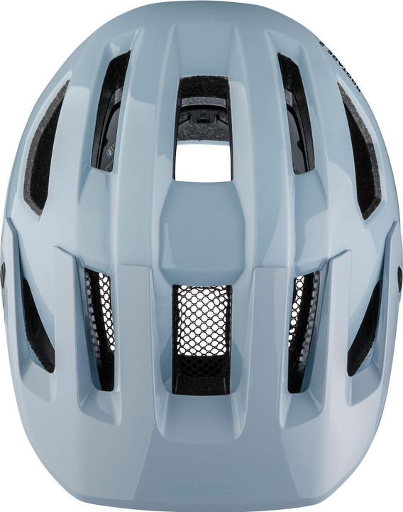 Produktbild Alpina Rootage 2 Mips (55 - 59 cm)