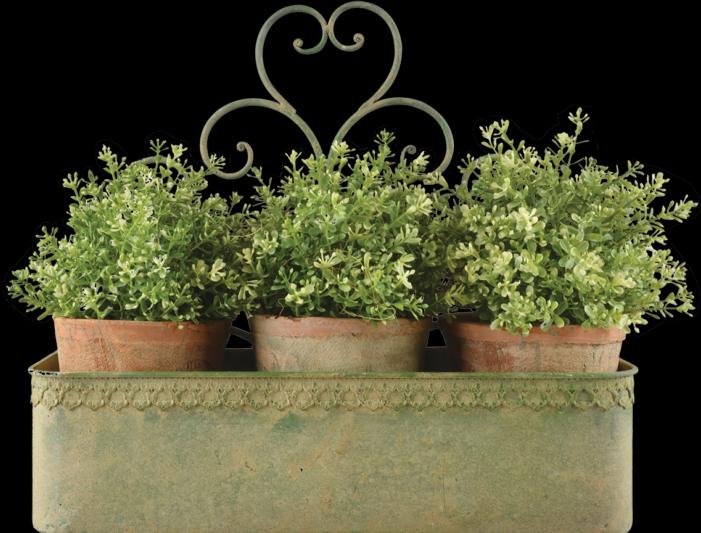 Actual product image Esschert Design Wandpflanzkasten L (43.10 cm)