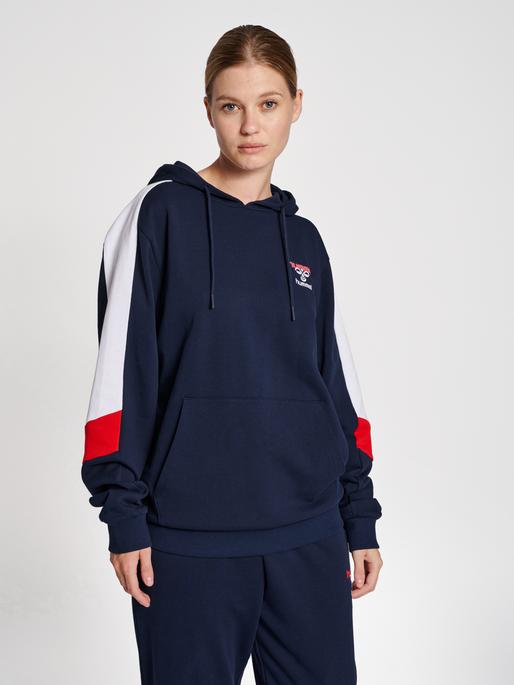 Actual product image hummel Ic Claude Hoodie (S)