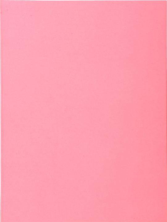 Produktbild Exacompta BAHIA 220 - Aktendeckel A4 (A4, 100 x)