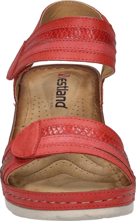 Actual product image Westland 36603-82 (40)