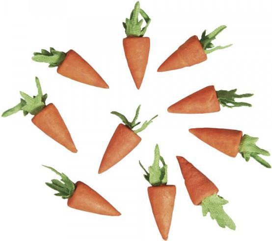 Rayher Carota in cotone idrofilo (10 x)