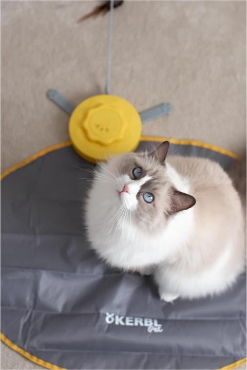 Immagine prodotto Kerbl Catturare la coda (Gatto giocattolo intelligente)