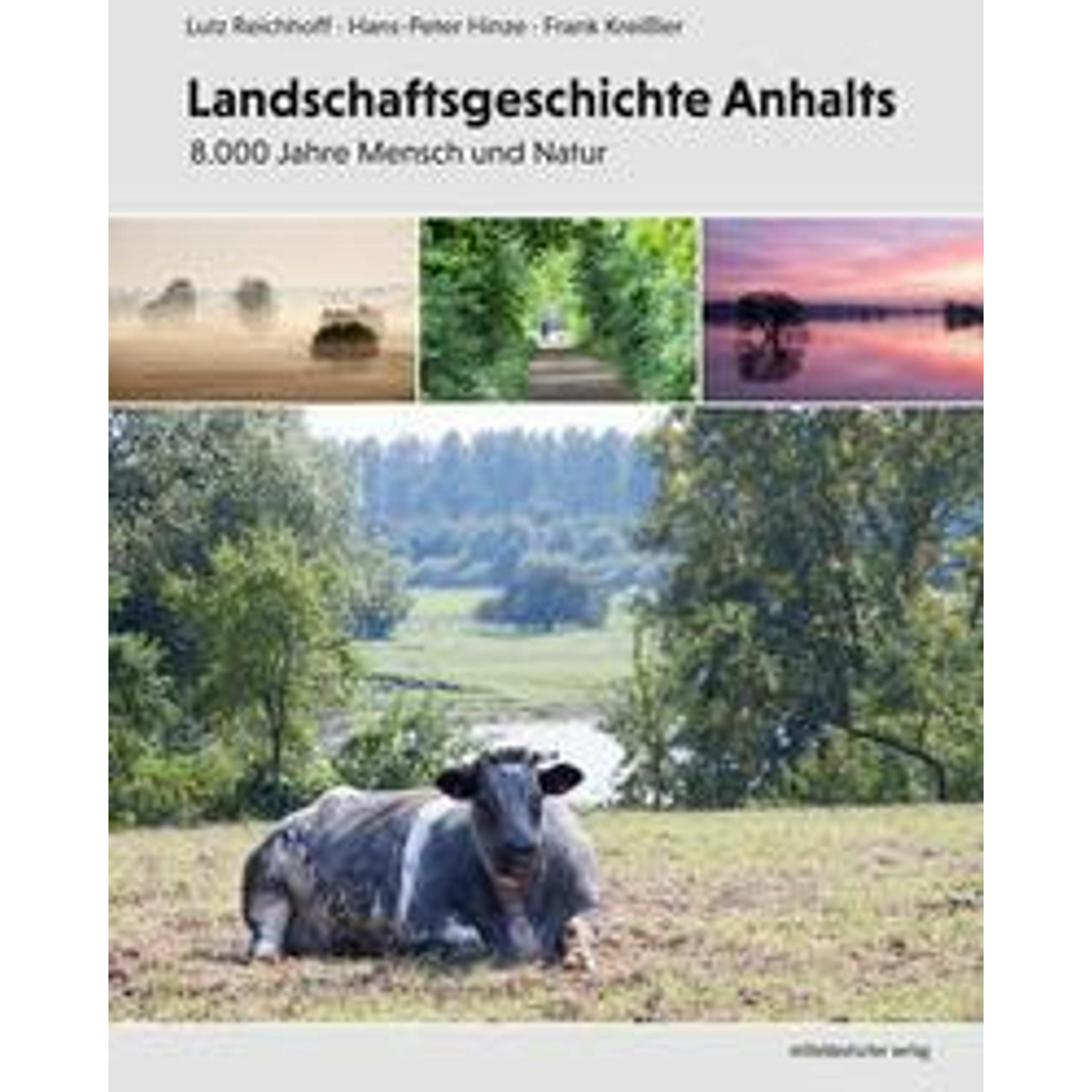 Landschaftsgeschichte Anhalts, Fachbücher von Lutz, Hinze Reichhoff