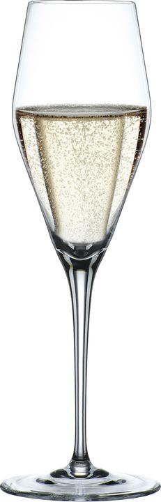 Actual product image pfister Vinova (28 cl, 4 Glasses, Champagne glasses)