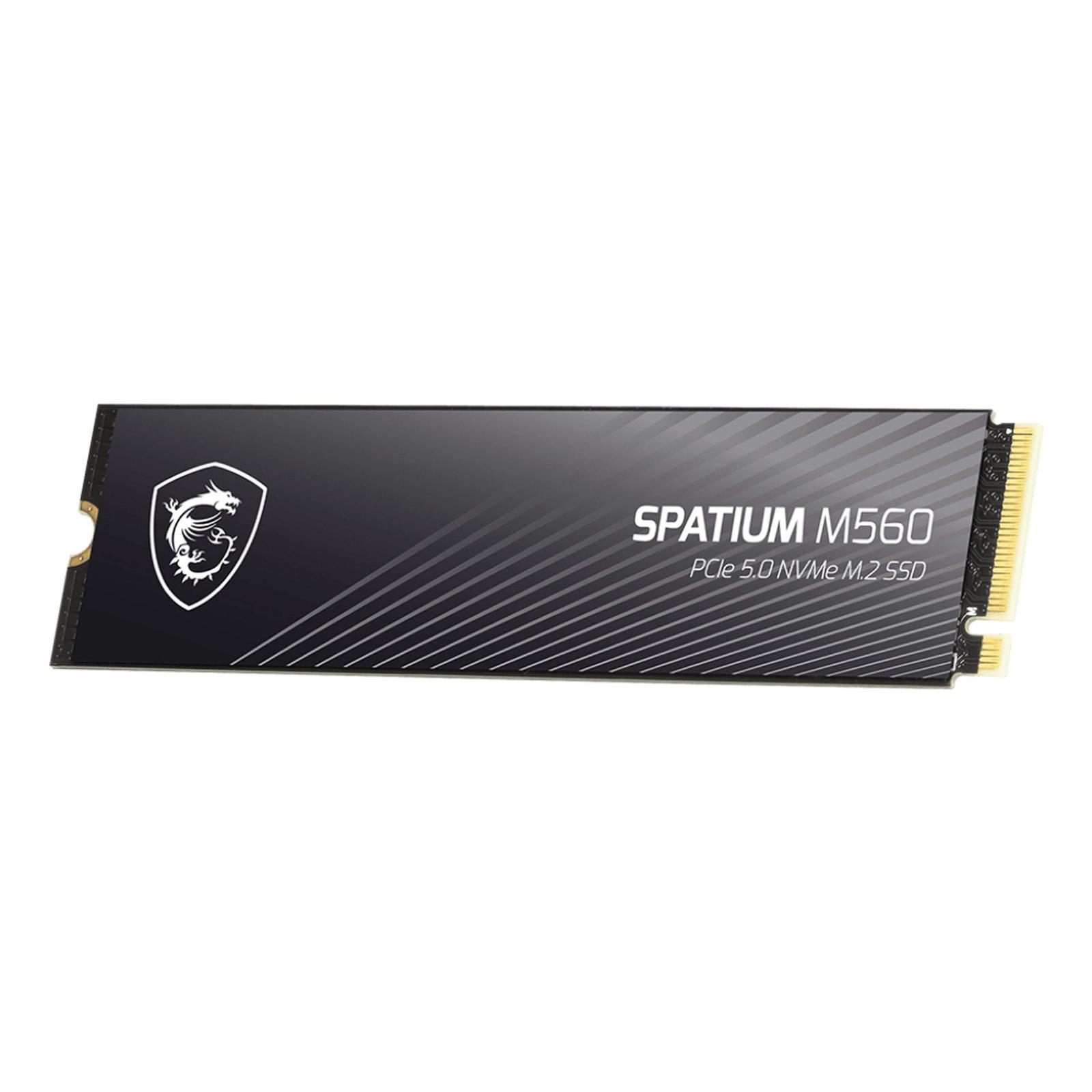 MSI Spatium M560 (1000 GB, M.2 2280), SSD