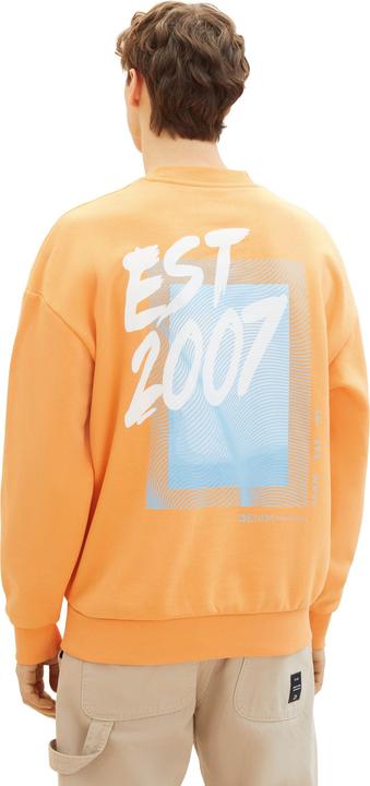 Produktbild Tom Tailor relaxed crewneck with print (L)