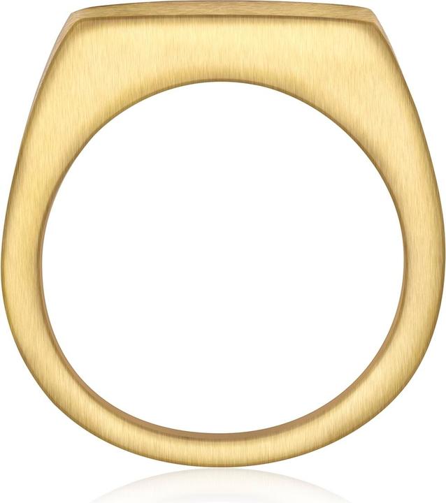 Produktbild True Rebels Herren Siegelring - 38920 (64)