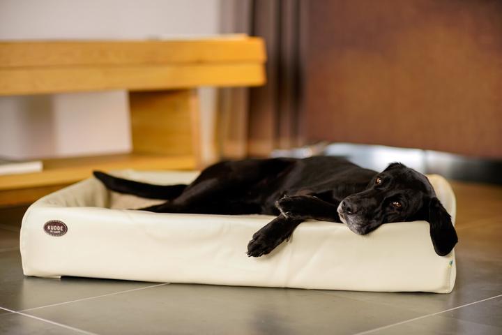 Produktbild Sabro Hundebett (Hund)