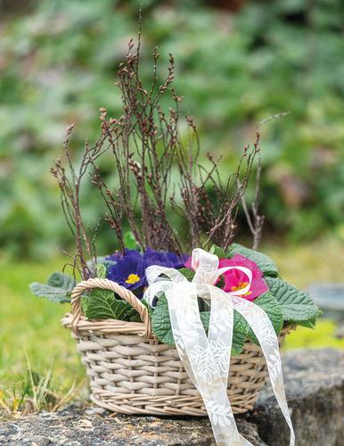 Actual product image Opiflor Wicker Basket Saxony, 25 cm Grey (25 cm)
