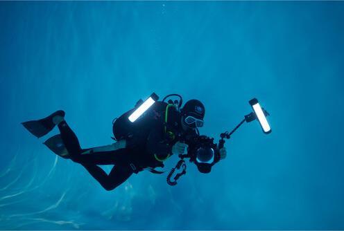 Produktbild Godox WT25D Dive LED Light (Godox)