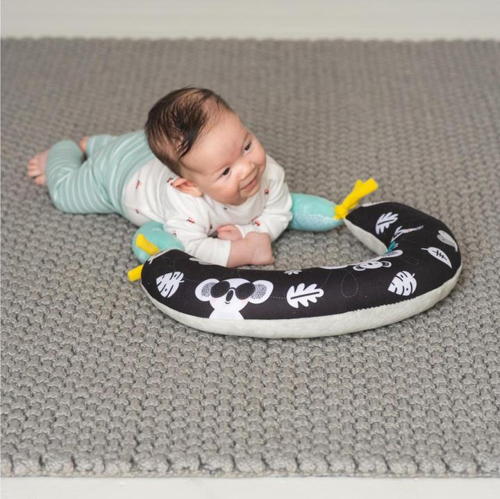 Immagine prodotto Taf Toys Cuscino per la pancia 2in1