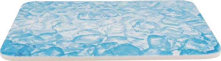 Actual product image Trixie Cooling plate