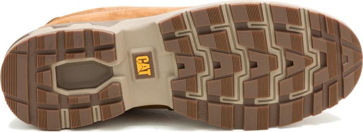 Actual product image Cat Pursue Lo (46)