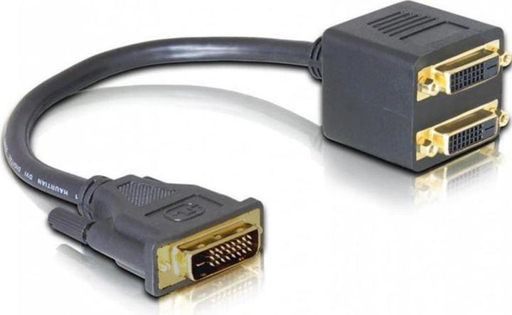 Image du produit Delock DVI vers (DVI, 20 cm)