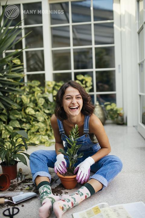 Immagine prodotto Many Mornings Amante delle piante (Confezione singola, 39 - 42)