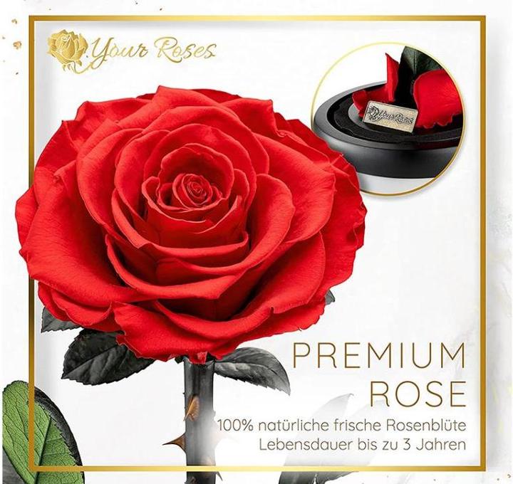 Produktbild TOP Ewige Rose im Glas