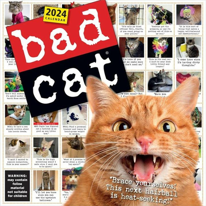 Actual product image Bad Cat Wall Calendar 2024 (English)