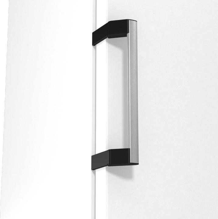 Produktbild Gorenje R619EAW6 (398 l)