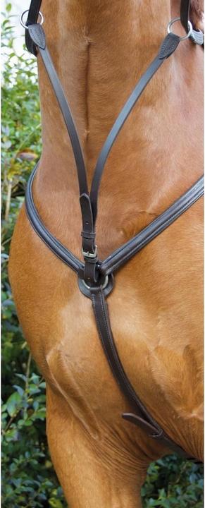 Immagine prodotto TdeT Collare da caccia foderato per cavalli