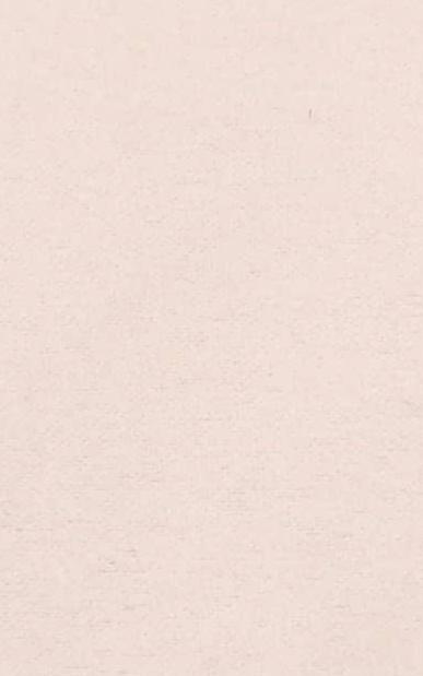 Image du produit vidaXL Robertina